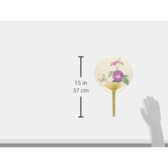 Uchiwa White Background Morning Glory Hiratake Large Approximately 2336.5cm