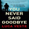 You Never Said Goodbye by Luca Veste Hardback Book 9781529357332