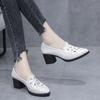 Single Shoes Female Real Soft Leather 2025 New Hollow Breathable Embroidery Four Seasons Women's Mother Shoes Thick Heel Soft Sole Work Shoes