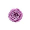 P-1  21 Preserved Roses in a Box Wedding Decor Floral Arrangements Wedding Dried Flower Home Decor Baby Shower Flowers 2~3cm