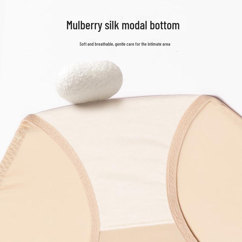 Oudifen Women's Mesh Panel Mid-Waist Seamless Briefs XP4509