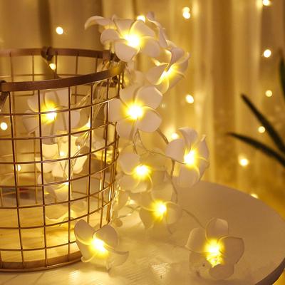 40 LED Egg Flower Frangipani Flower String Light USB Battery Sztuczny bukiet kwiatów Girlanda na festiwalowe wesele, imprezę, dekoracje