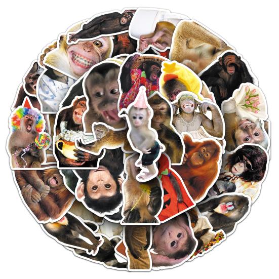 50Pcs Funny Monkey Sticker Waterproof Hilarious Vinyl Decals Waterproof Chemical-free Stickers for Luggage Laptops Water Bottles Skateboards
