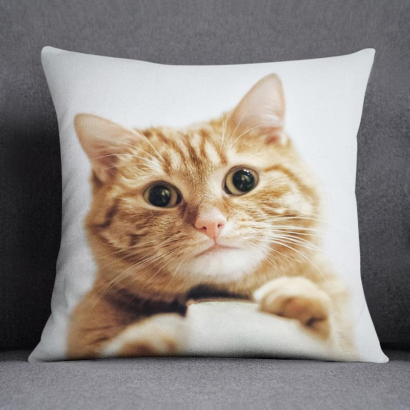 Cat Series Pattern Decorative Pillowcase, Square Home Office Decoration (45Cm * 45Cm)
