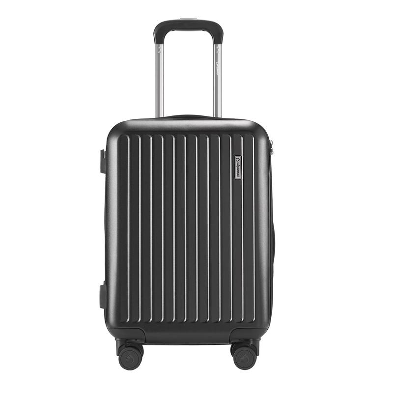 Diplomat Frosted Hardshell Spinner Luggage 24 inch