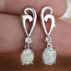 White Wave Hollow Earrings for Women Simple and Versatile Eardrops and Accessories