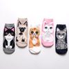 5/1pairs Women's Kawaii Cartoon Cute Cats Cotton Socks - Short Length, Funny and Comfortable