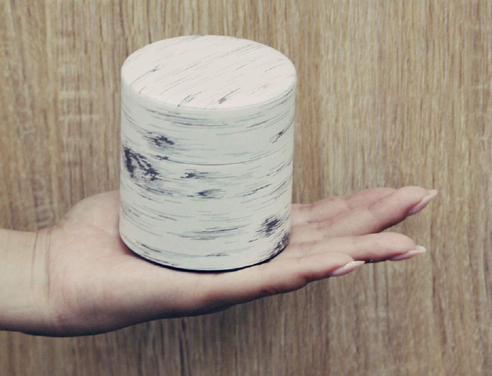 Kotodo Takahashi Seisakusho Tea Caddy, Birch Can, Flat, 100g