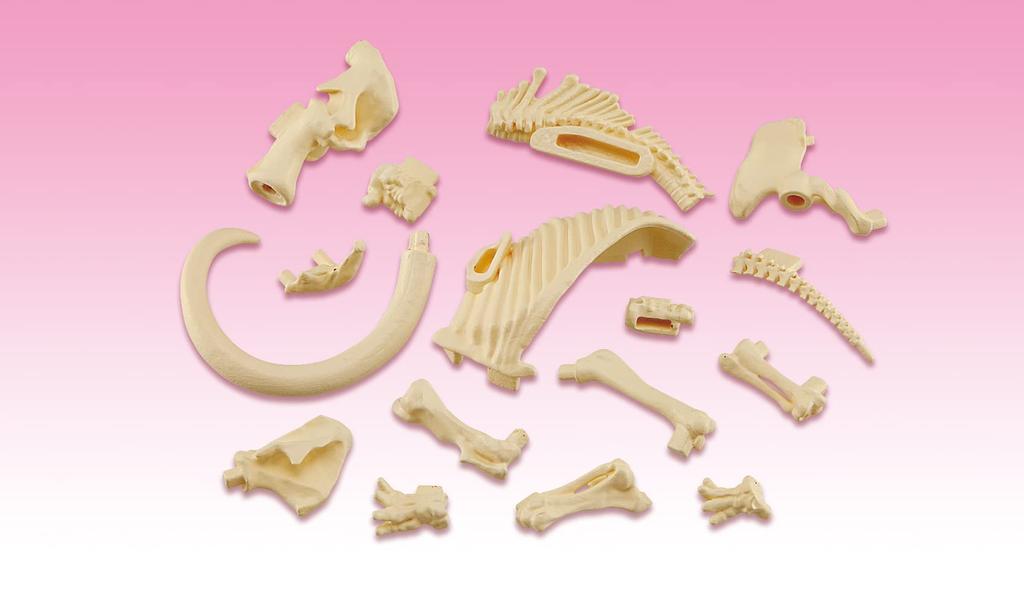 MegaHouse Disassembly Puzzle Science Mammoth Reconstruction Puzzle