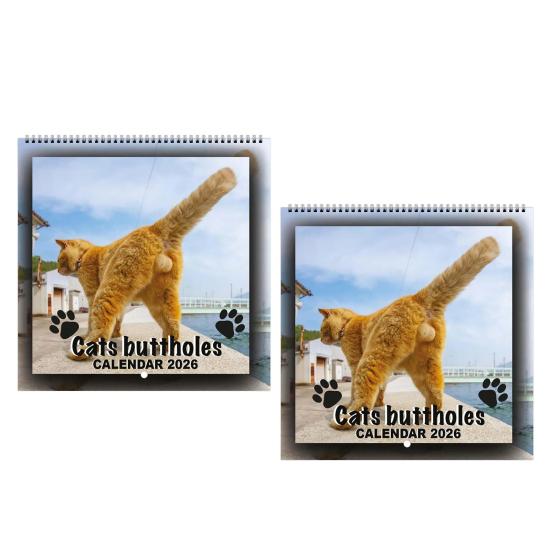 2026 Cat Ball Calendar Jan.2026 - Dec.2026 12 Monthly Wall Calendar with Hilarious Feline Moments Gag Gift for Cat Lovers