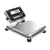 Yingheng Industrial High-Precision Stainless Steel Platform Scale