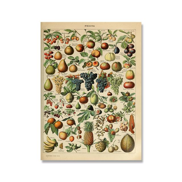 Vintage ovoce, zelenina, fazole graf nástěnný plakát plakát kuchyně