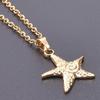 Star Necklace Y2K for Teen Girls Women Starfish Pendant Summer Jewelry Starfish Ocean Sea-Life Necklace Clavicle Chain