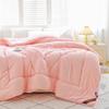 Cozy All-Season Antibacterial Polyester Duvet Insert