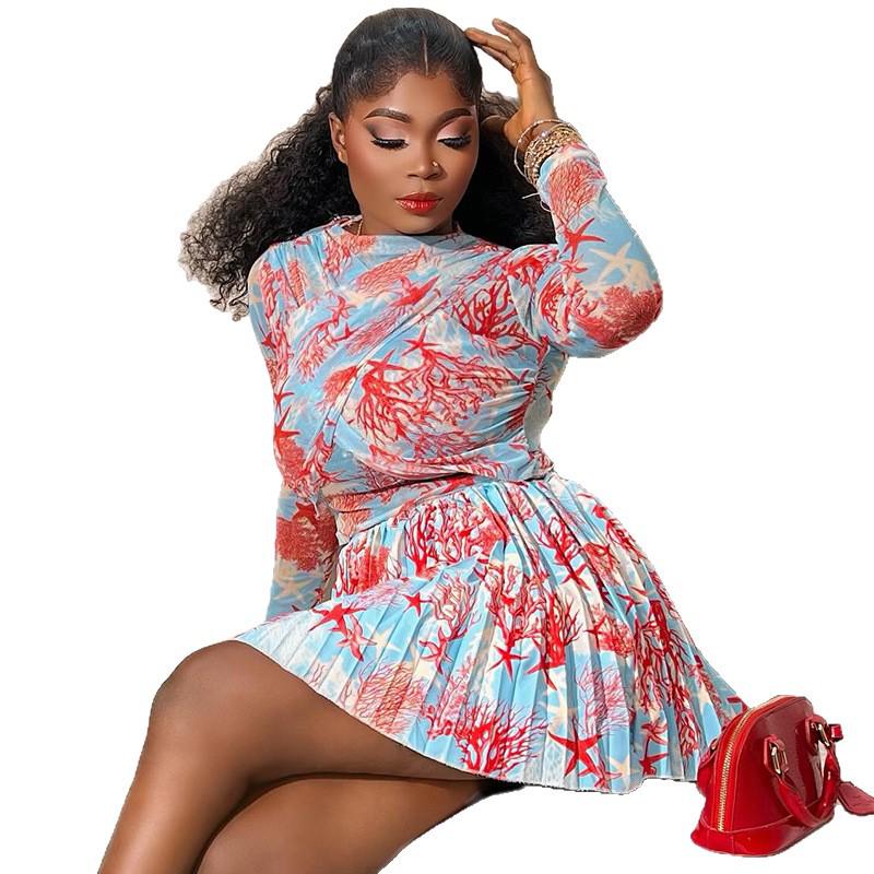 2026 Sommer Damen Slim Fit Bedrucktes Langarm-Oberteil und Faltenrock Set