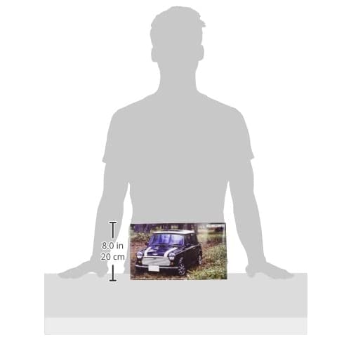 Fujimi Model 1/24 Real Sports Car Series No. 3 Rover Mini 1.3i RS-3