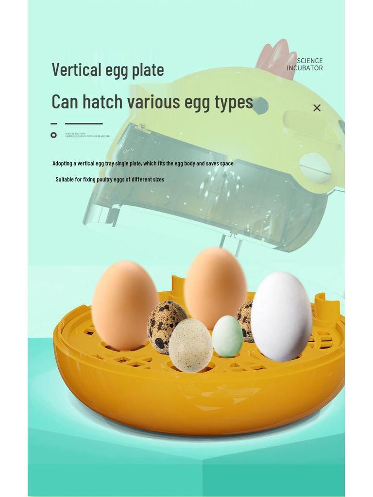 Smart Parrot Egg Incubator: Compact, Constant Temperature, Ideal for Small Households, Gifts, and Toy Collections.