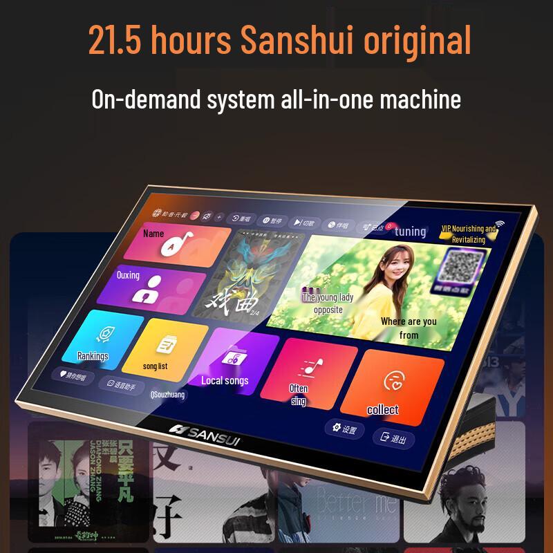 SANSUI Home KTV Amplifier & 12-inch Speaker System CN plug (adapter included)