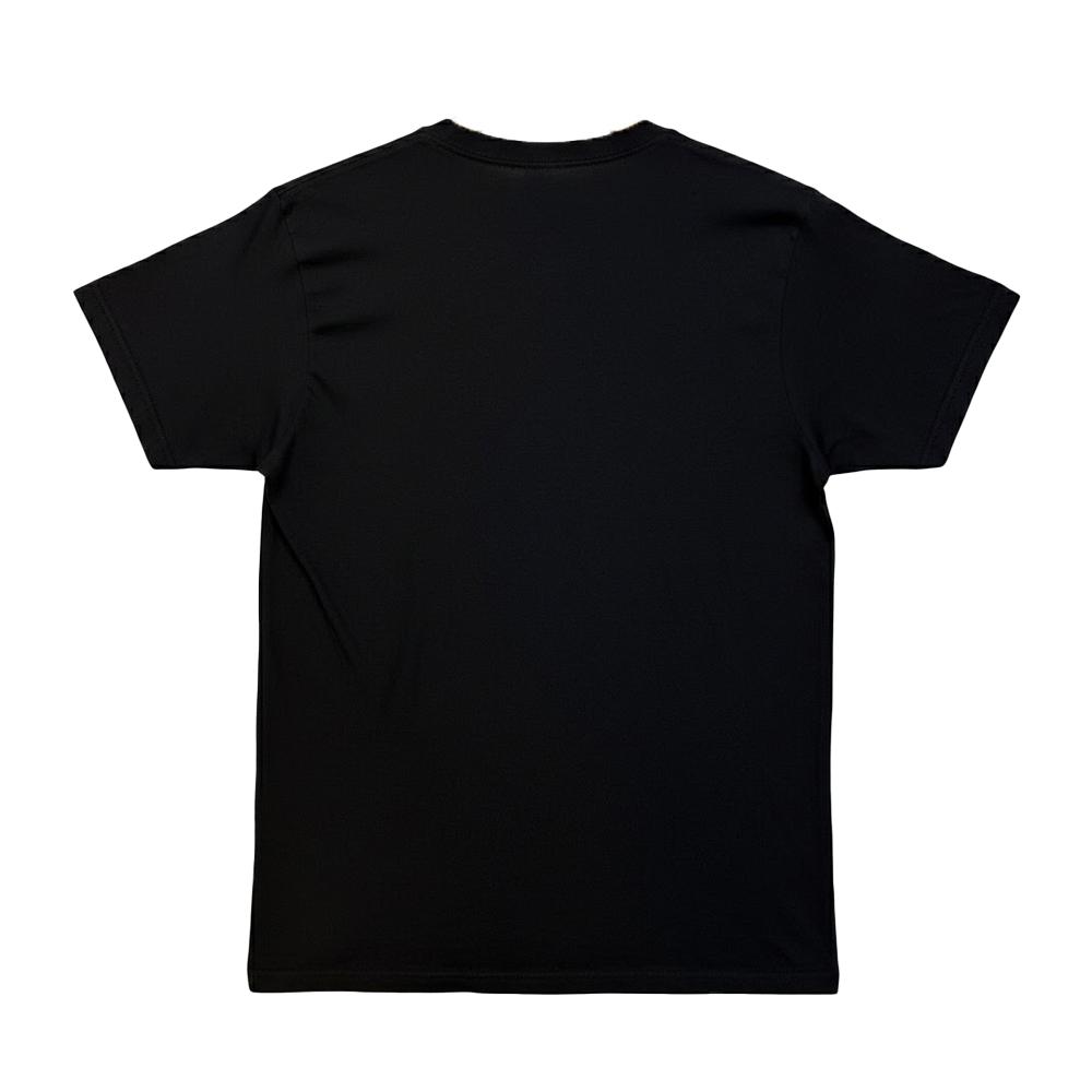 The Lord Of The Rings Unisex Adult Montage Aragorn Sword T-Shirt