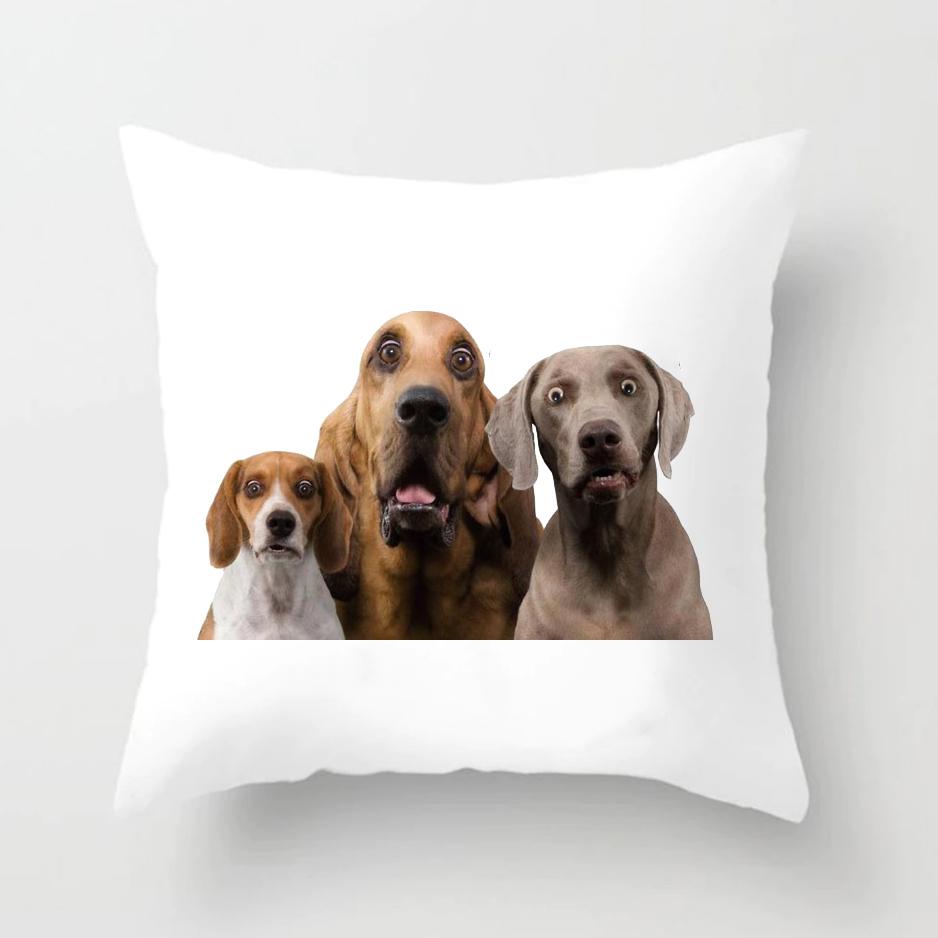 Dog and Cat Pillow Covers Decorative Cushion Cover Living Room Decoration Polyester Pillow Sofa Warm Family Pillow Case 45x45cm