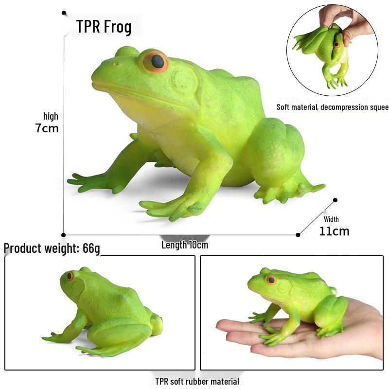 Children s Bullfrog Squeeze Toy: Stress Relief Simulation Model