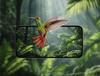 Smart Solar Bird Feeder Camera with Custom Hummingbird Feeder