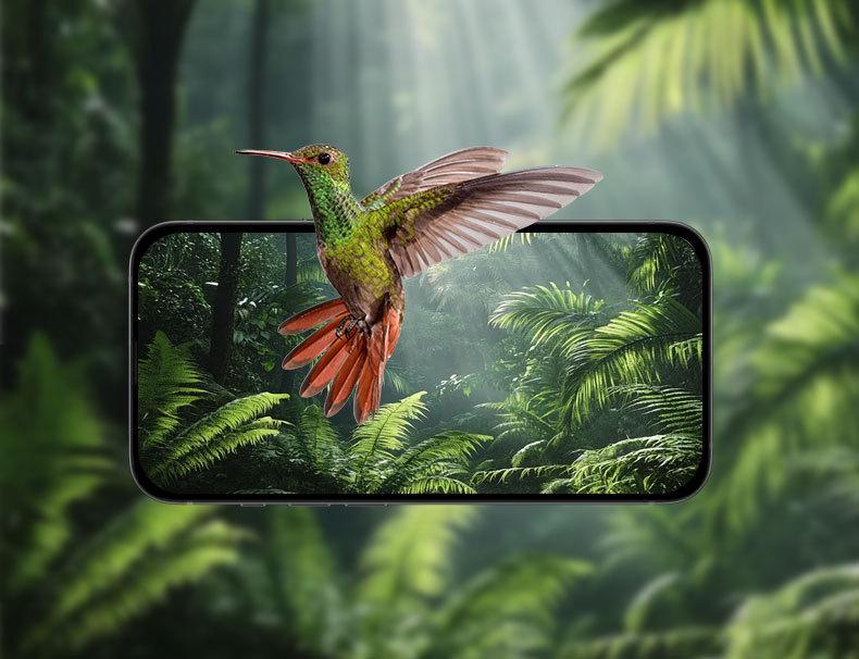 Smart Solar Bird Feeder Camera with Custom Hummingbird Feeder