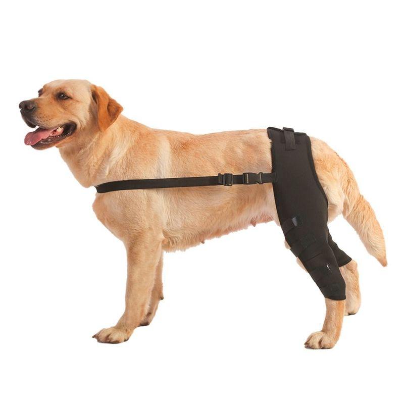 Soporte de Pierna para Perro Rodilla Cadera Articulación Proteger Heridas Prevenir Lesiones Ayuda Canina Y Rehabilitación de Ligamentos Para Mascotas Accesorios