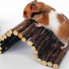 Grinding Teeth Pet Roller Toys Gnawing Hanging Swing Toys New Pet Hamster Toys  Pet Supplies