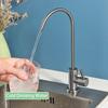 Single Handle Kitchen Filtered Faucet Stainless Steel Direct Direct Drinking Tap Single Cold Water Tap Household Sink Faucet