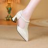 Fashion 2025 New Hollow High-heeled Single Shoes Autumn  Pointed Toe Shallow Mouth One Belt Non-slip Wear-resistant Block Heel Shoes