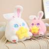 Rabbit Angel Cute Cuddle Star Stuffed Toy Cartoon Girl Sleeping Holiday Gifts