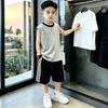 Boys' Color Block Vest & Striped Shorts Set - Summer 2026 Trend for Kids