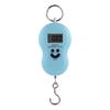 Express Delivery of Spring Scales, Luggage Electronic Scales, Weight and Weight Scales