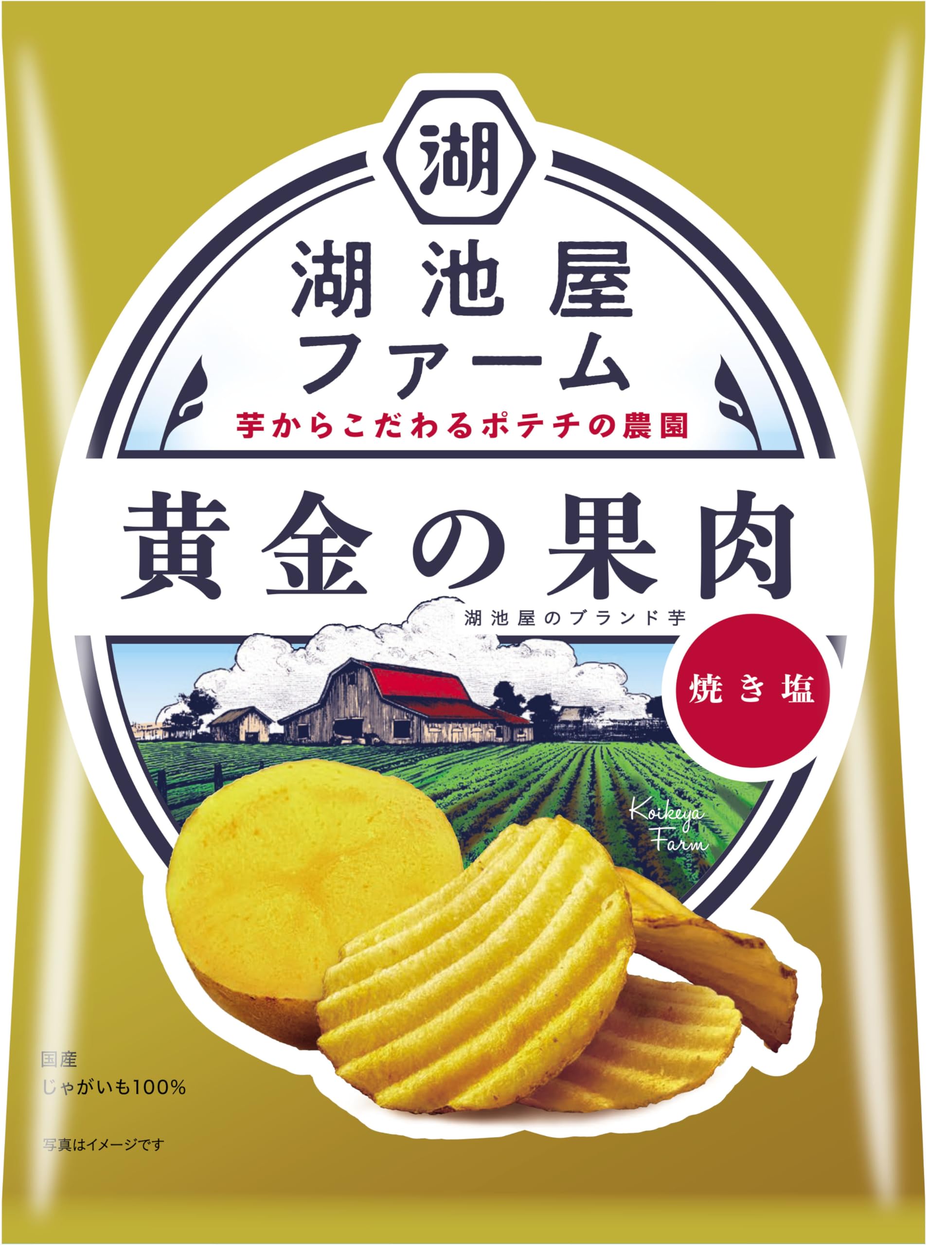 

Koikeya Koikeya Farm Golden Fruit Roasted 55g x 12 bags Salt,