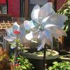 Bahçe ve Çevre Düzenlemesi – Bahçe süslemeleri