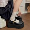 Retro Brown British Style Platform Heightening Small Leather Shoes Women's 2025 New Autumn Skirt Mary Jane Single Shoes
