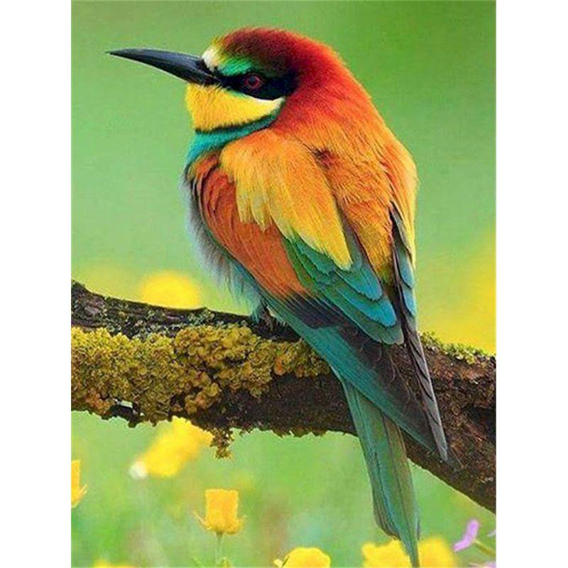 GATYZTORY Malen nach Zahlen für Erwachsene Spatzenvogel Tier Einzigartige Geschenke Ölfarbe Malerei auf Leinwand Gerahmte Wandkunst Handwerk
