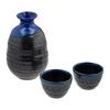Kintoen Mino Ware Sake Set Sake Bottle Sake Cup Sake Cup Tenmoku 280ml Sake Hot Sake Takada Ware Gift Box Present Gift