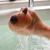 1Pcs Wash Blistering Capybara Bath Sponge Ball Body Exfoliate Household Baby Shower Brushes Bubble Sponges Cartoon Animal Shape