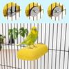 Hypeety Vogel Papagei Kalzium Zähne Mund Backenzahn Schleifstein Hamster Schleifstein Kauspielzeug Sitzstange Sprungständer für Papagei Wellensittich Chinchilla
