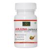 Nourishworld Arjuna Capsules 500mg Capsules Arjun Chal Extract | 60 Capsules 100gm 0.2lbs