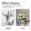 62KD 2Pcs Rotating Spirals Stem Holder for Flowers Silicone Bouquet Twisters