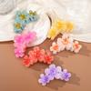 Elegante Farbverlaufs-Blumen-Haarklammern Damen Blütenblattform Trendige Klammern Klemme Haarnadel Süße Mädchen Haarschmuck Geschenke