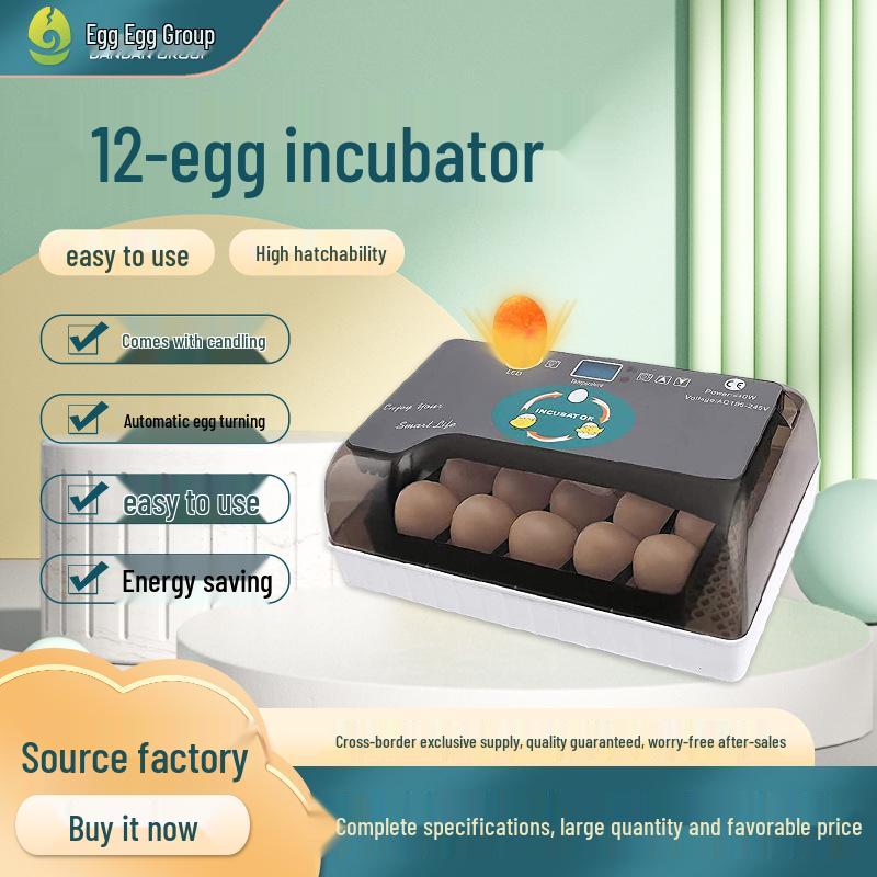 Fully Automatic 12-Egg Incubator: Hatching and Breeding Equipment for Poultry