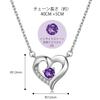 Amethyst Necklace for Silver 925 Heart For Everyday Coming of Age Accessory [FH.bird] Women, Simple, "February Birthstone", Hypoallergenic, Necklace,