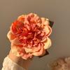 Dreidimensionale Rosenhaarspange Temperament Sommer Einfache Greifklemme Hinterkopf Disc Hair Shark Clip Kopfschmuck