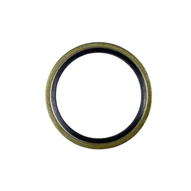 Lahaqi Combination Sealing Washer