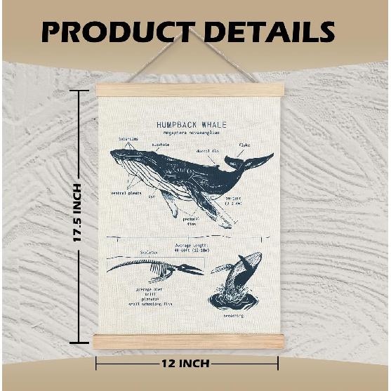 ignytiger Beach Ocean Whale Wall Art Poster, Marine Biology Beach House Room Decor, Summer Whale Ocean Theme Canvas Bathroom Nursery Classroom Decor,