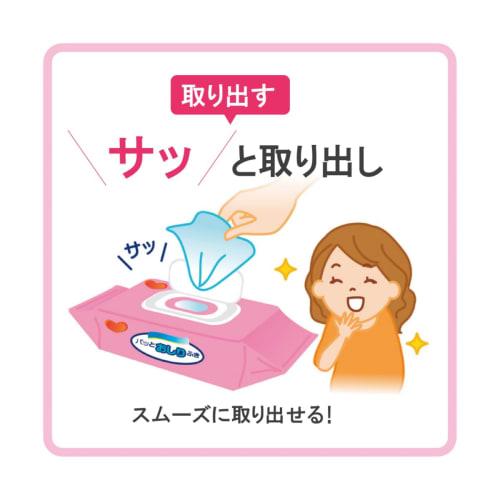 Bulk Purchase: Habinurse Flushable Baby Wipes x 4 Packs for Care, Adults, and Seniors (72 Sheets x 4)